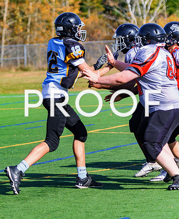 FBall-8317