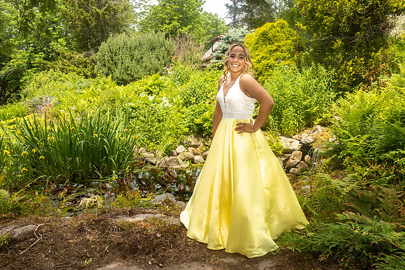 Prom-9600