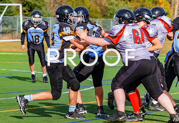 FBall-8631