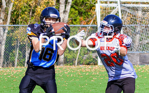 FBall-8264