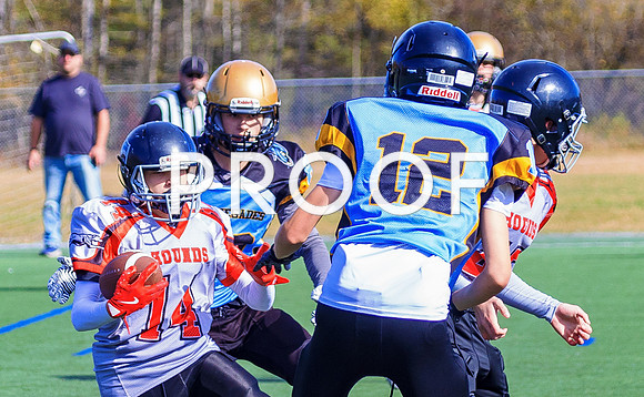 FBall-8278