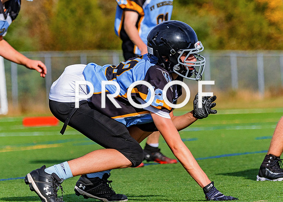 FBall-8580