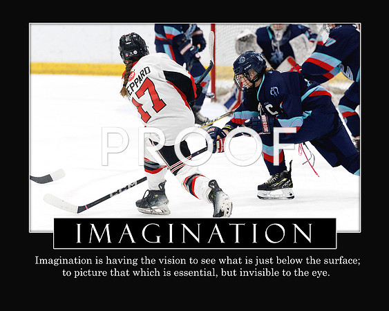 Imagination