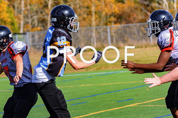FBall-8316