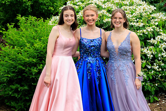 Prom KV-0019
