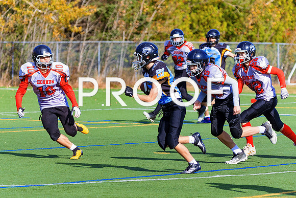 FBall-8255