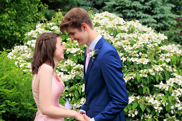 Prom KV-0006