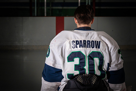 Sparrow-6792