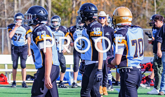 FBall-8231