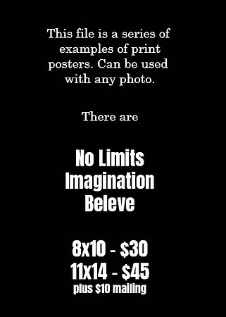 Poster Examples