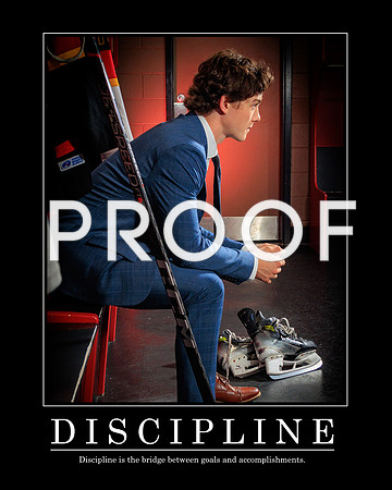 Discipline-16
