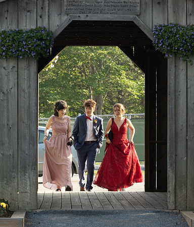 Prom-0146-2