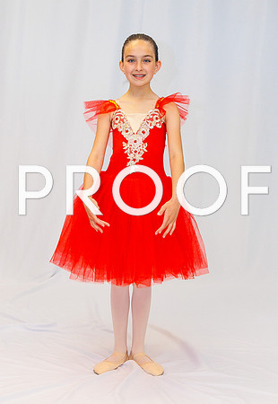 Ballet Ind-5317