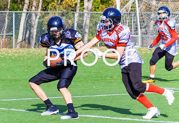 FBall-8265