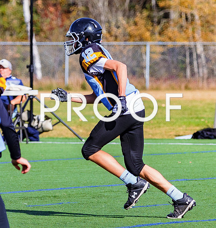 FBall-8309
