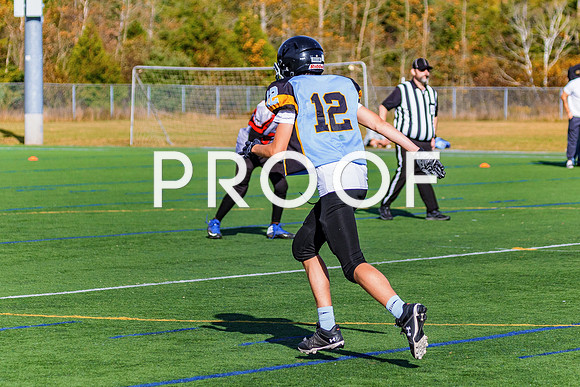 FBall-8482