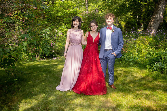 Prom-9803