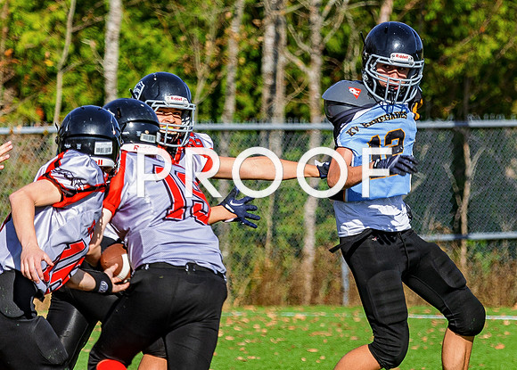 FBall-8414