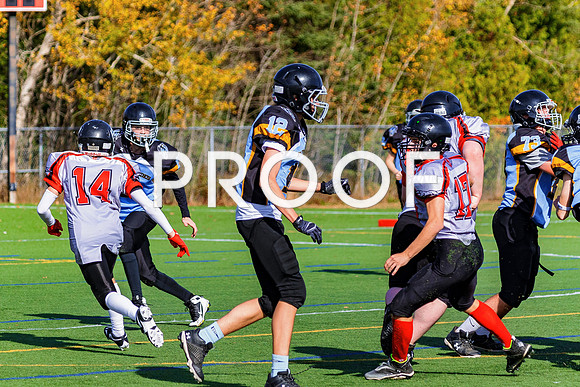 FBall-8322