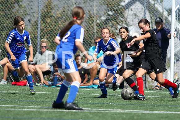 U12 Girls Fundy -9243