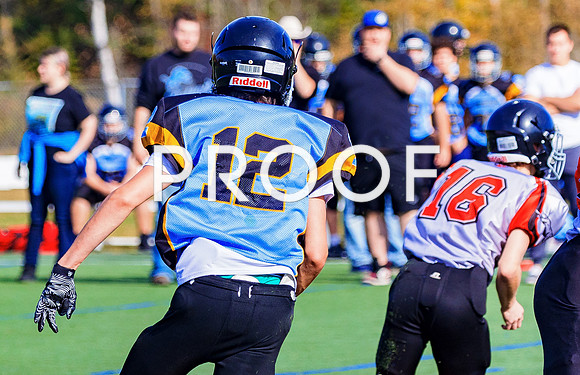 FBall-8297